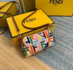 Fendi Trendy 1:1 Mirror multicolor Mini Bag FKLQ7890